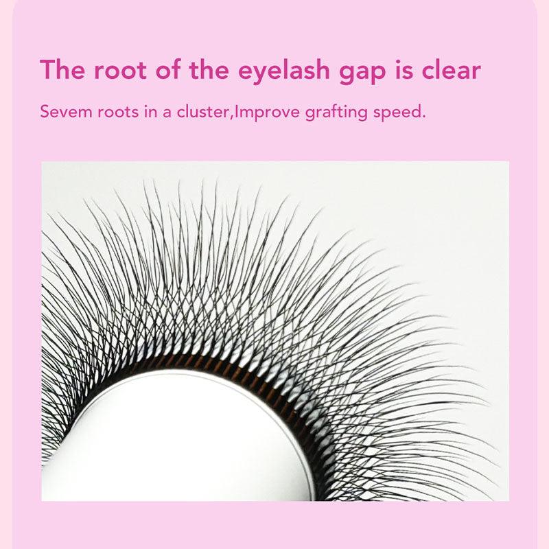 DIYDAY New Style 5D W Shape Eyelash Extensions - DIYDAY Official Store
