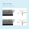 DIYDAY 7D W Shape Eyelash Extensions - DIYDAY Official Store