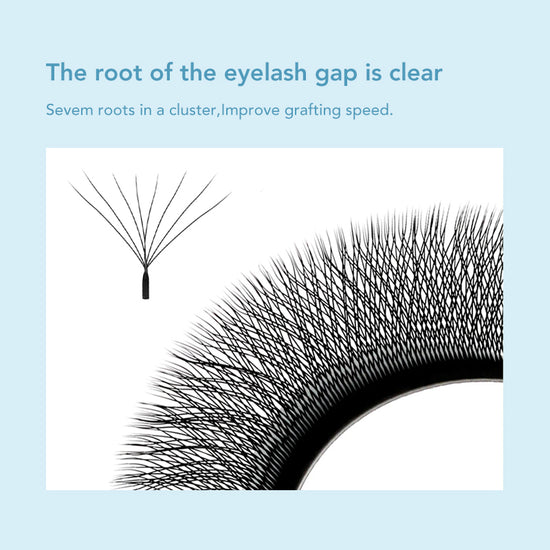 DIYDAY 7D W Shape Eyelash Extensions - DIYDAY Official Store