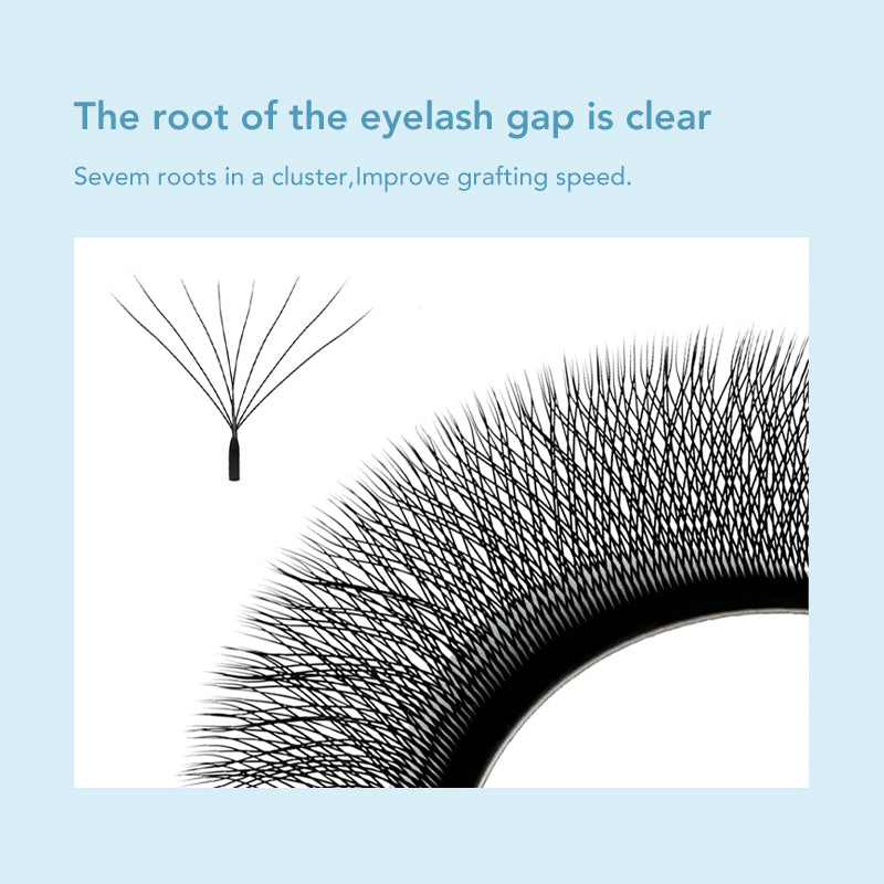 DIYDAY 7D W Shape Eyelash Extensions - DIYDAY Official Store