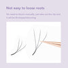 DIYDAY 3D W Shape Eyelash Extension - DIYDAY Official Store