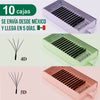 Mexico DIYDAY Fast Deliver 10cases set 3D/4D/5D/6DW Shaped Eyelash Extension Premade Fan Lahes Fast Shipping from Mexico Warehouse