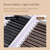 DIYDAY Brown 3D/4D/5D W Eyelashes 12Rows-0.07mm-C/D