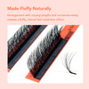 DIYDAY Fluffy Bloom Eyelash Extension LB/LC/LD/LU(M)
