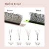 DIYDAY Brown Narrow YY/3/4/5D W Shape (Dark Brown) Eyelash Extension