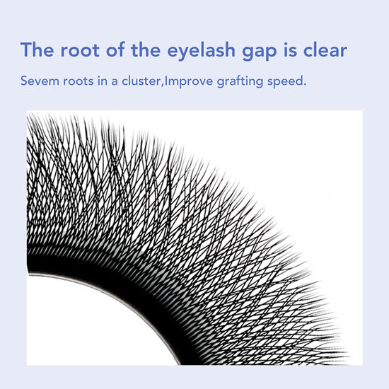 DIYDAY New 3D W Shape Eyelash Extensios-diydaylashes.com