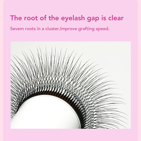 DIYDAY New Style 5D W Shape Eyelash Extensions - DIYDAY Official Store