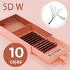 Mexico DIYDAY Fast Deliver 10cases set 3D/4D/5D/6DW Shaped Eyelash Extension Premade Fan Lahes Fast Shipping from Mexico Warehouse