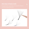 DIYDAY 5D W Shape Eyelash Extension - DIYDAY Official Store