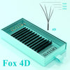 DIYDAY Fox 4D W-Shaped Lashes